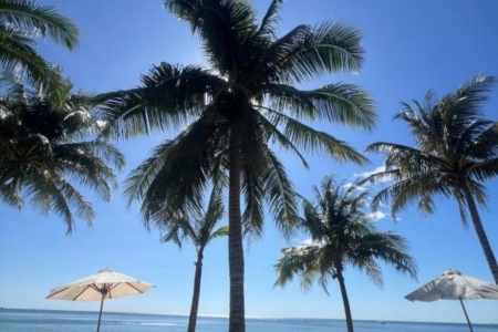 Sea Sense Resort Phu Quoc: Where to Enjoy a Beach Island Paradise